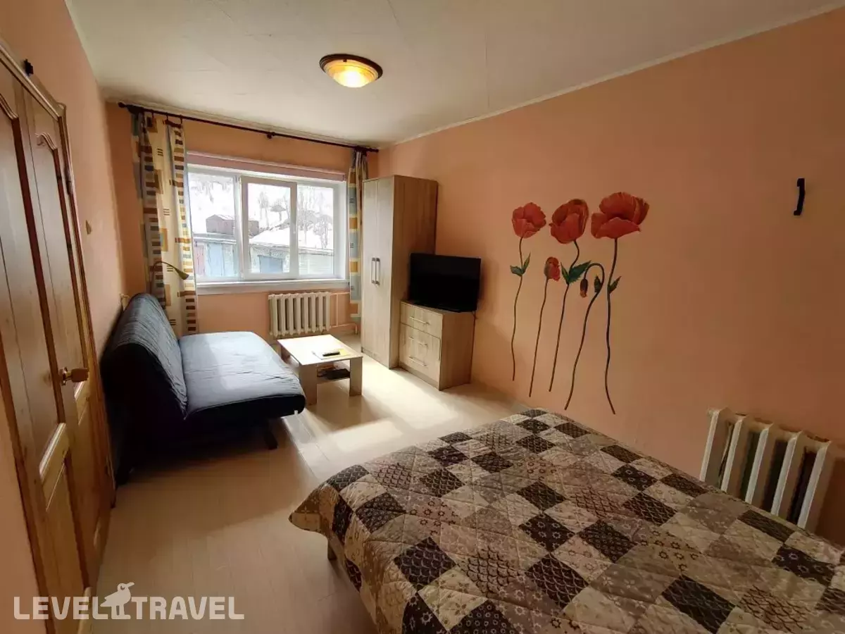 Апартаменты Олимпийская 85 2 этаж