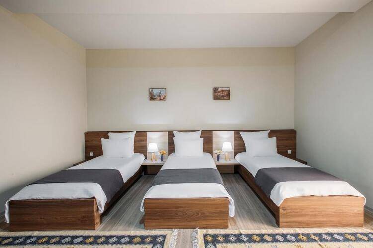 Отель Telavi Inn
