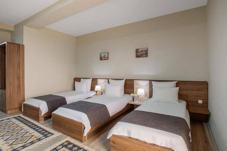 Отель Telavi Inn