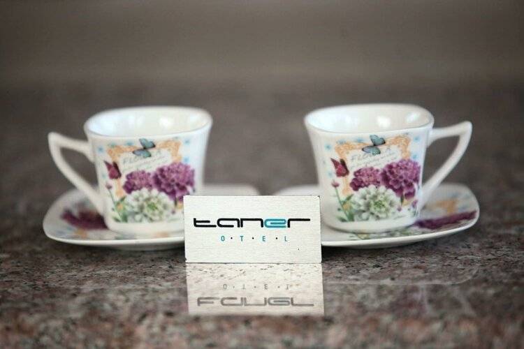 Taner Otel