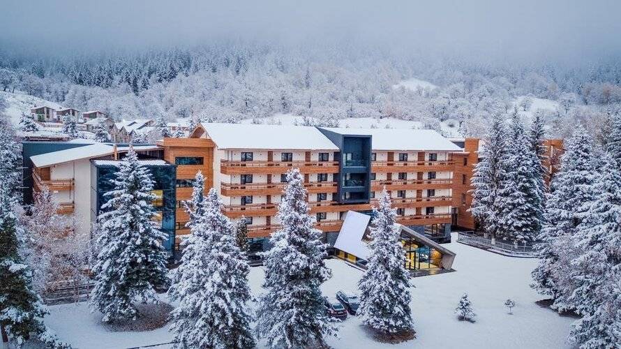 Отель Bakuriani Inn