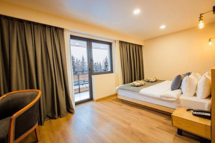 Отель Bakuriani Inn