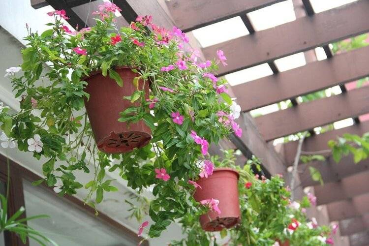 Mariya Boutique Residence at Suvarnabhumi Airport