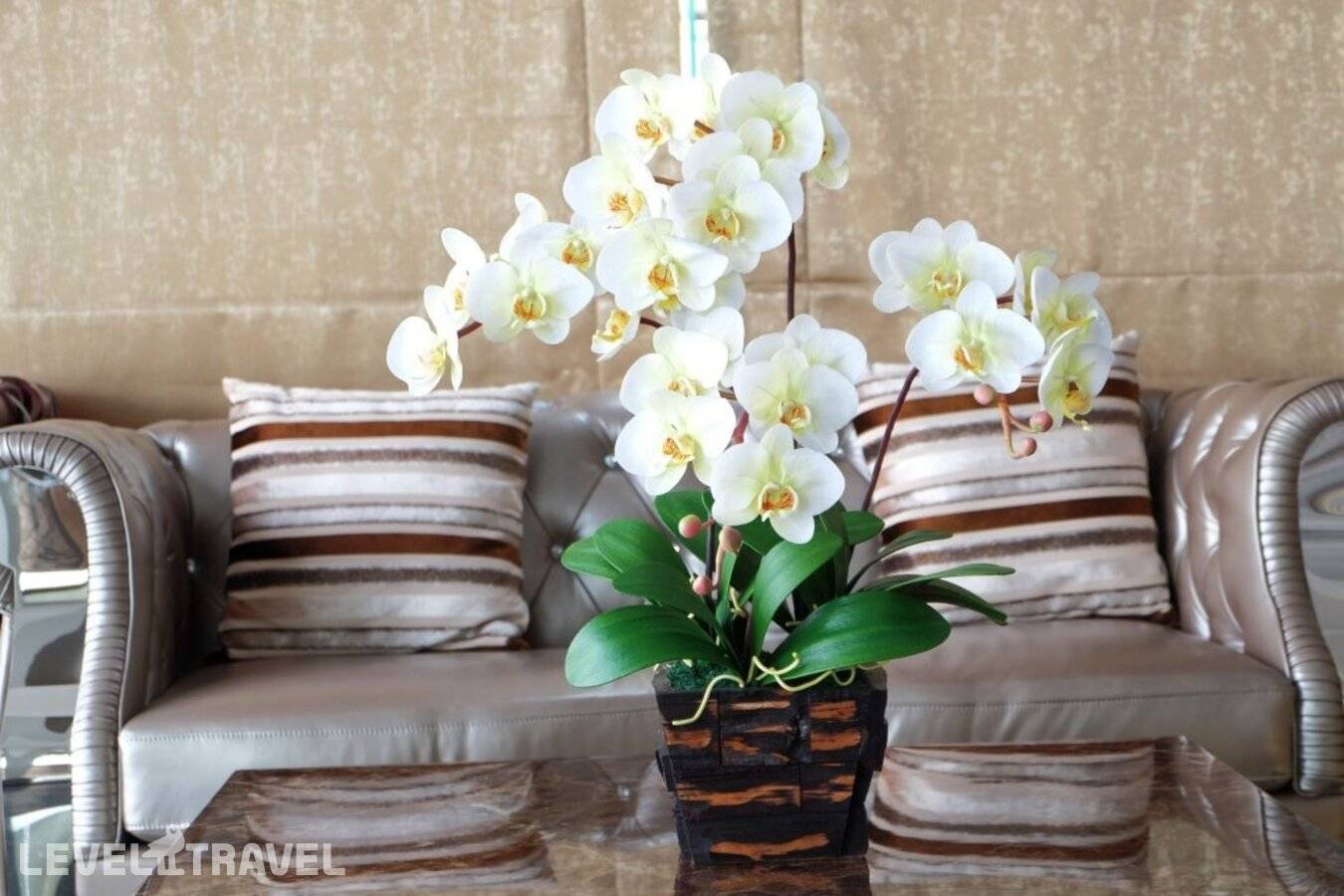 Изображение отеля 34