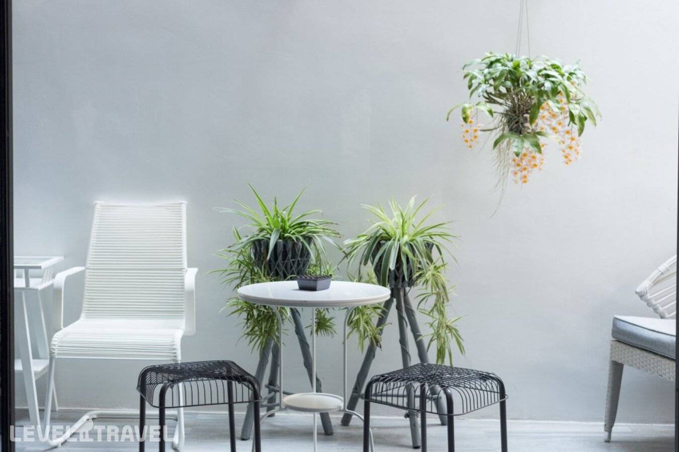 фотографии отеля White Ivory Bed & Breakfast в Таиланд(Бангкок) - фото №14