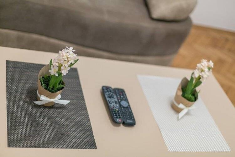 Apartment Dositejeva