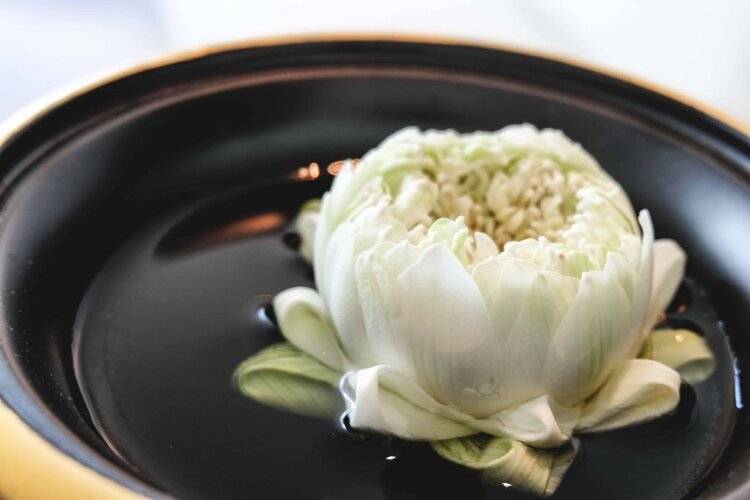 Park Hyatt Bangkok