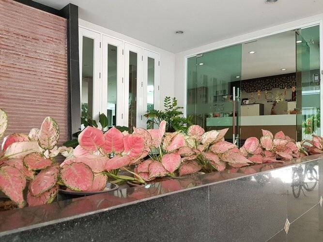 14 Place Sukhumvit Suites - SHA Plus