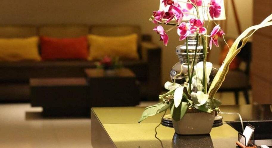 The Dawin Hotel