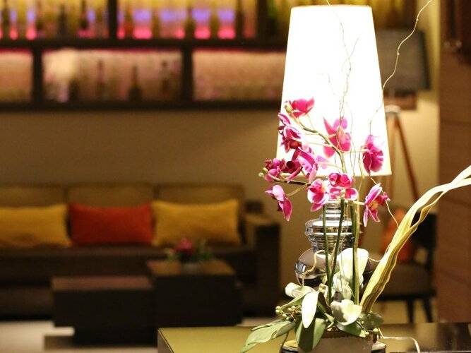 The Dawin Hotel