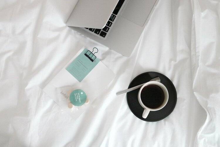 Chocolate Box Mint