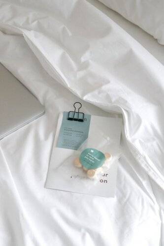 Chocolate Box Mint