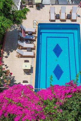 Hotel Koza
