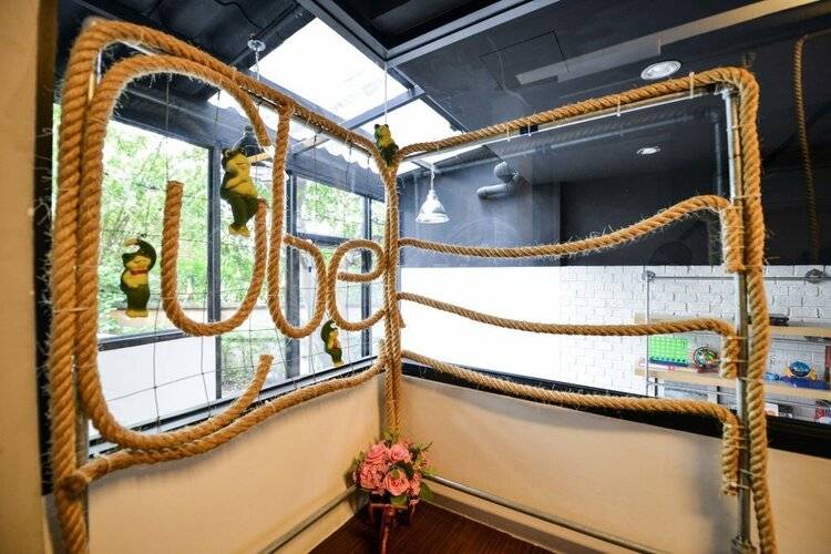 The Cube Hostel