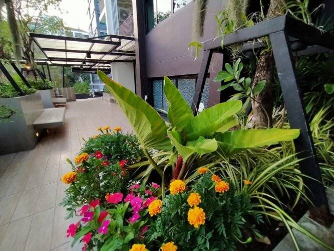 SiRi Ratchada Bangkok