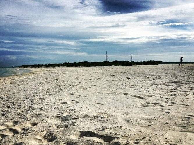 Rasdhoo Coralville