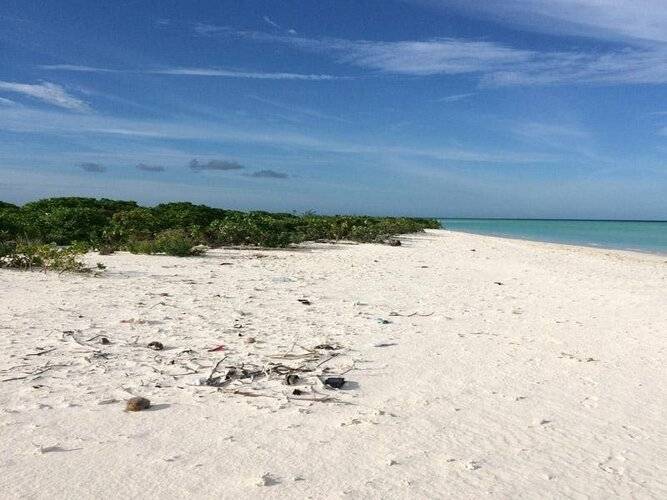 Rasdhoo Coralville