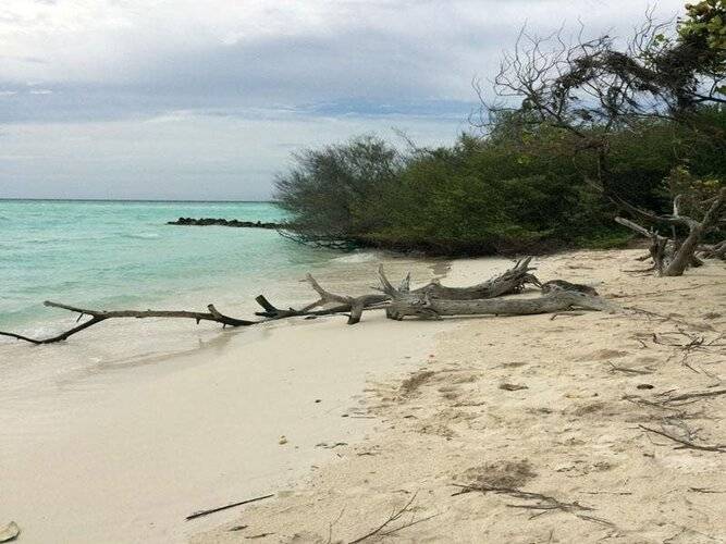 Rasdhoo Coralville