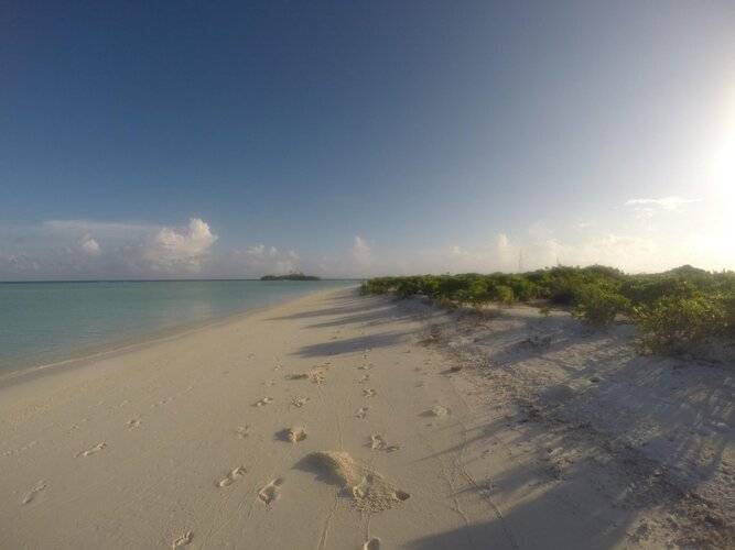 Rasdhoo Coralville