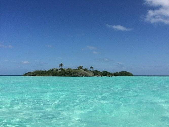 Rasdhoo Coralville