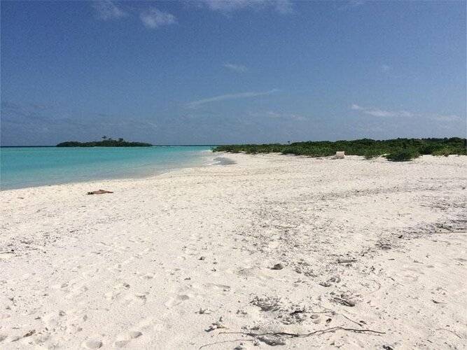 Rasdhoo Coralville
