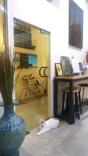 Double D Rooms & Cafe