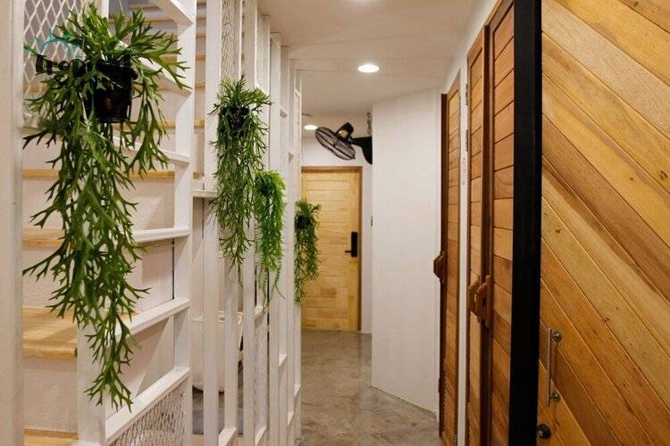 Tropical Summer Hostel