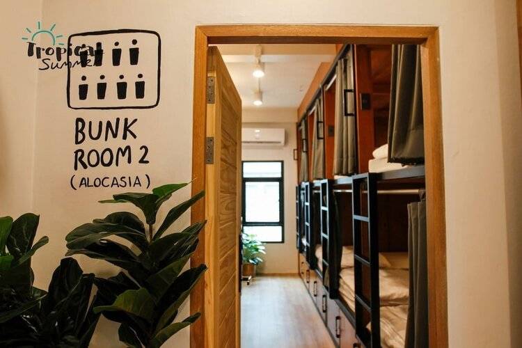 Tropical Summer Hostel