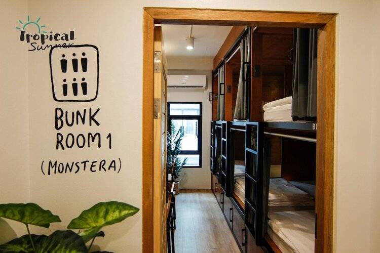 Tropical Summer Hostel