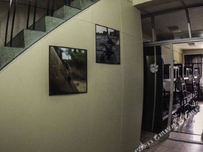Mind day Hostel Khaosan