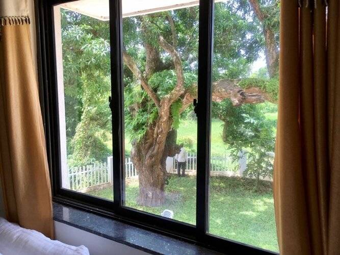 Monarch suites