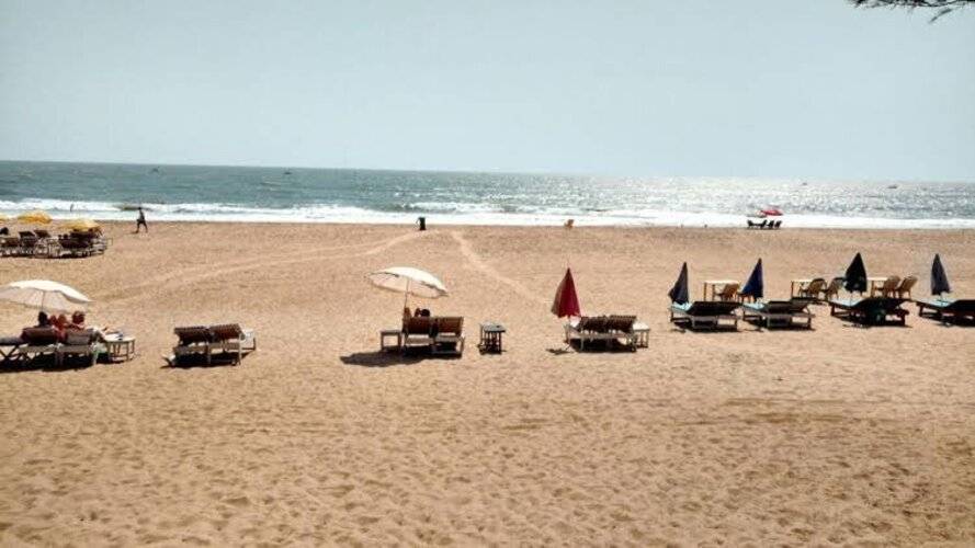 Little India Beach Cottages