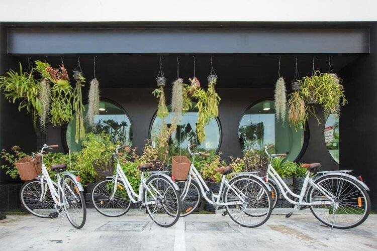 Blu Monkey Hub and Hotel Phuket