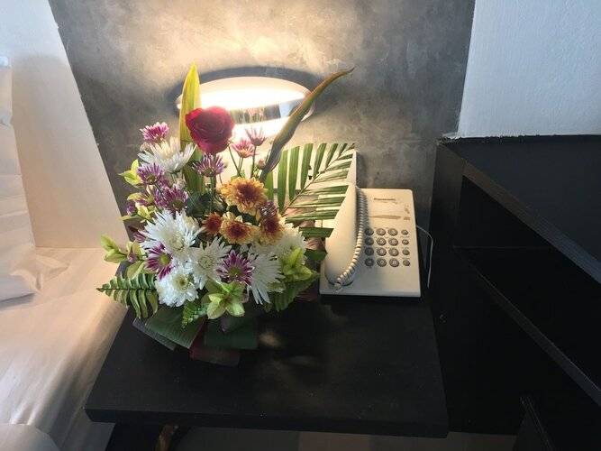 The Front Hotel & Appartments