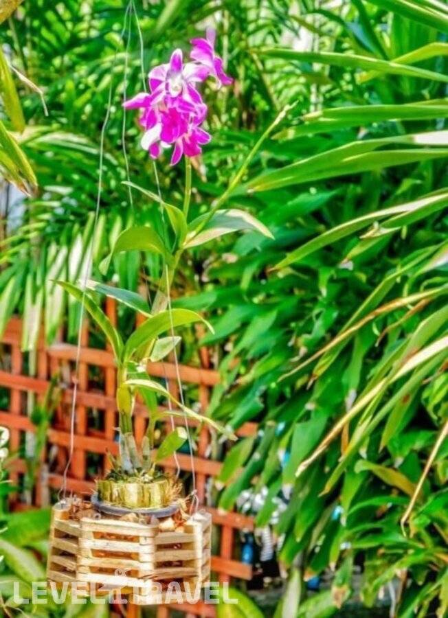 фотографии отеля Kata Leaf Resort в Таиланд(Ката Бич) - фото №7