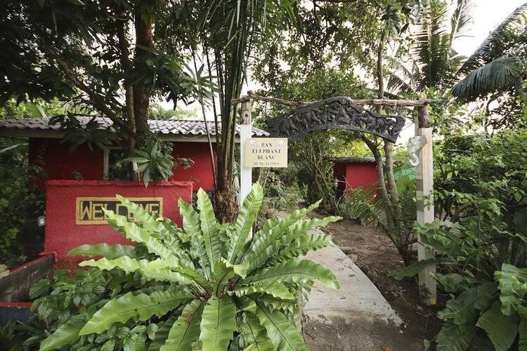 OYO 75342 Ban Elephant Blanc Bungalow