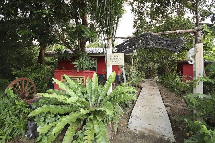 OYO 75342 Ban Elephant Blanc Bungalow