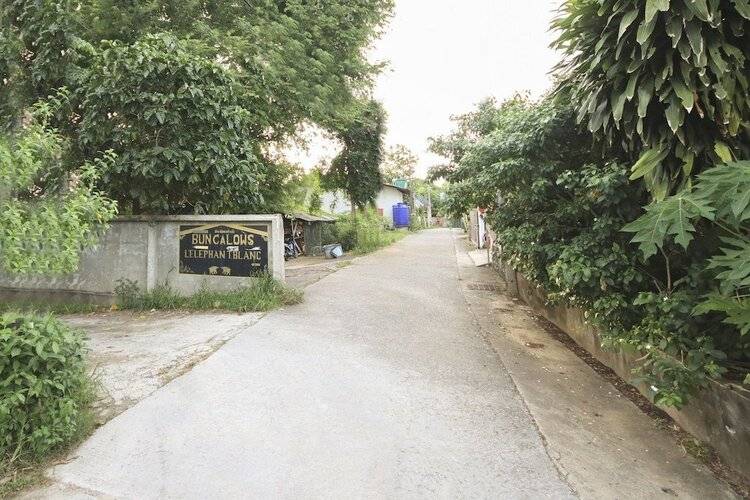 OYO 75342 Ban Elephant Blanc Bungalow