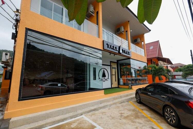 Tall Tree Kata Phuket