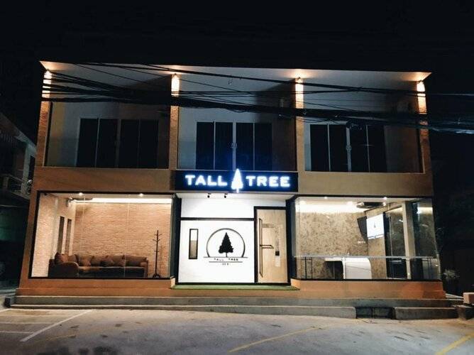 Tall Tree Kata Phuket