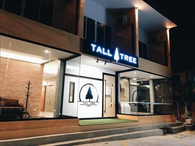 Tall Tree Kata Phuket