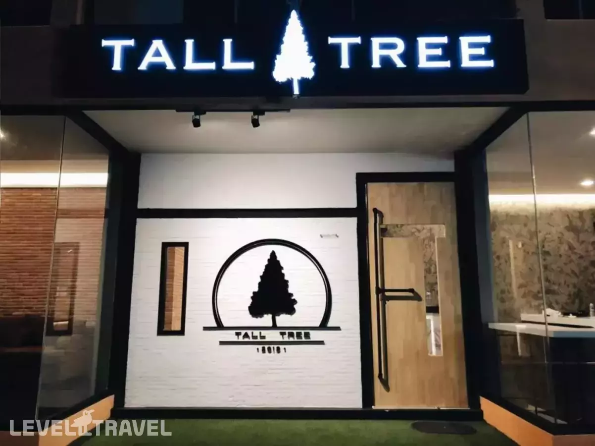 Tall Tree Kata Phuket