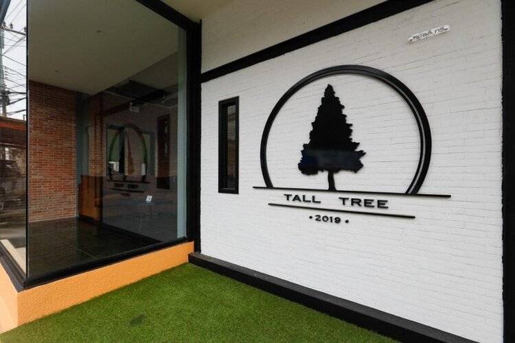 Tall Tree Kata Phuket