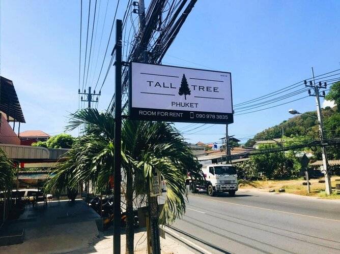 Tall Tree Kata Phuket