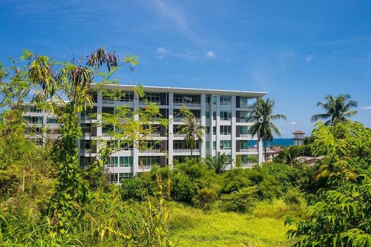 The Palm at Veloche by Lofty