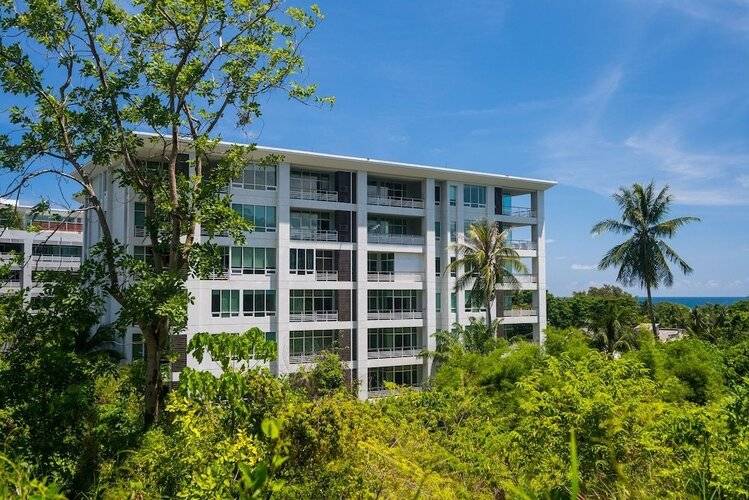 The Palm at Veloche by Lofty