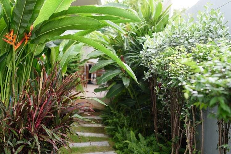 Costa Village Bangsaray