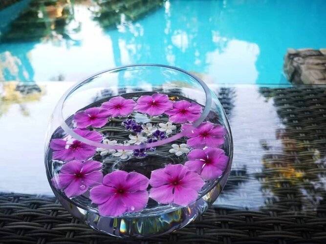 Le Prive Resort