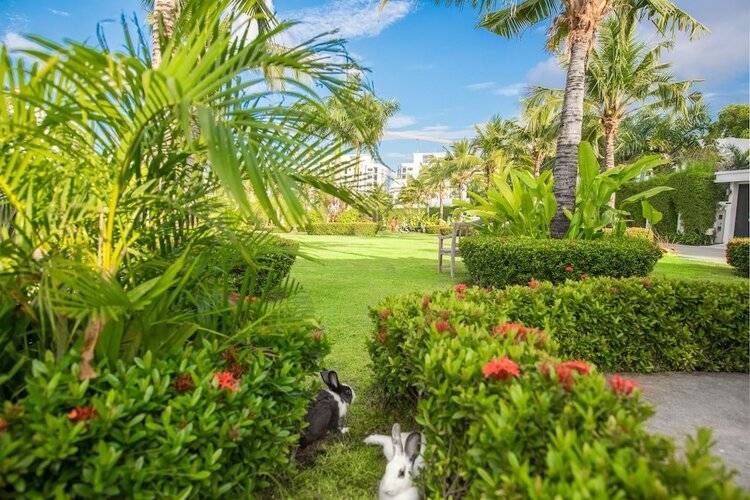 Villas In Pattaya