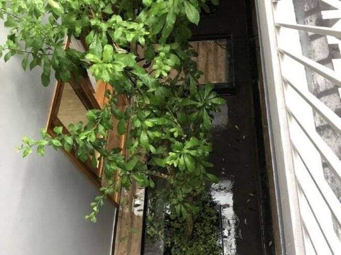 Yellow House Boutique